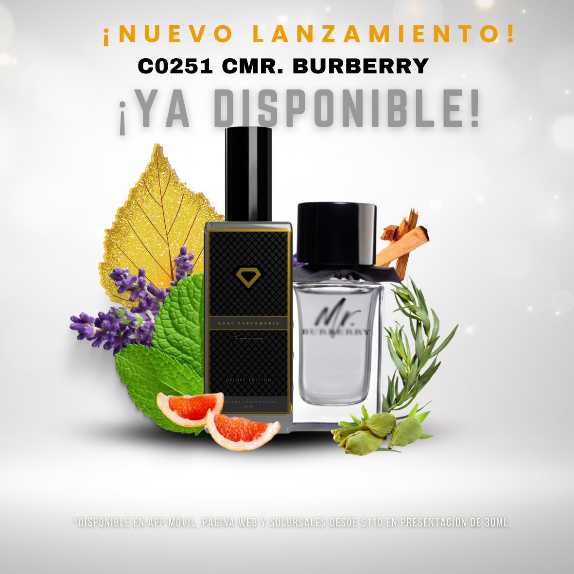 C0251 inspirado en C MR. BURBERRY