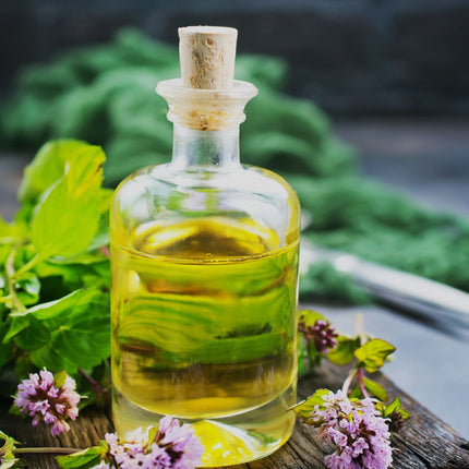 Collection image for: NICHO